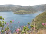 Andinische Flora vor der Laguna Cuicocha